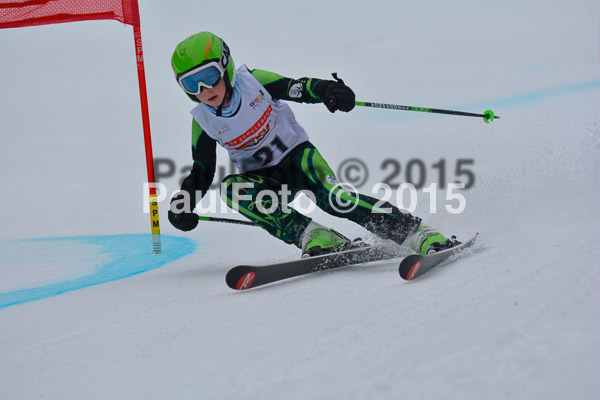DSC U12 Finale 2015