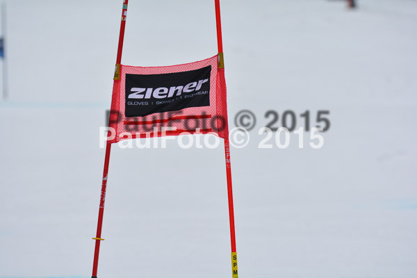 DSC U12 Finale 2015