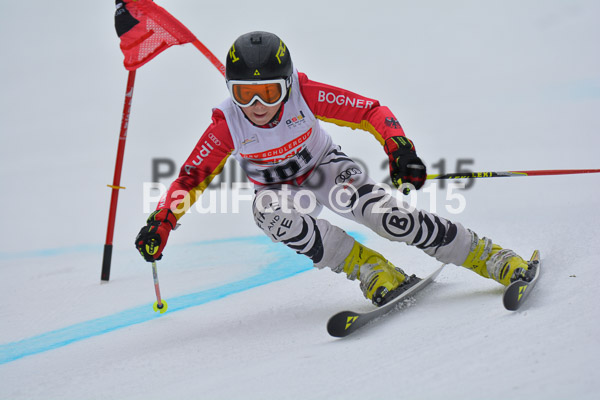 DSC U12 Finale 2015