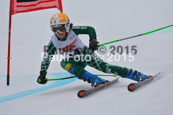 DSC U12 Finale 2015
