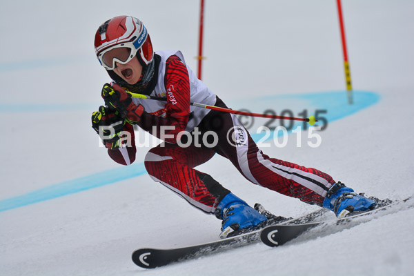 DSC U12 Finale 2015