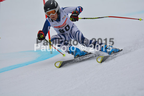 DSC U12 Finale 2015