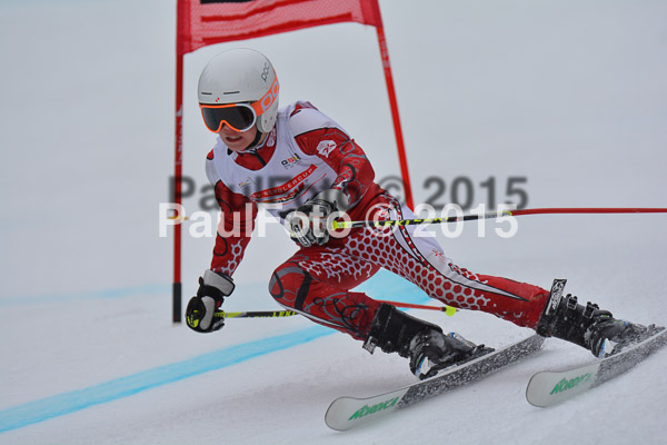DSC U12 Finale 2015