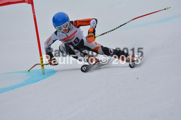DSC U12 Finale 2015