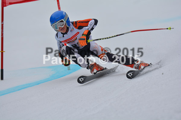 DSC U12 Finale 2015