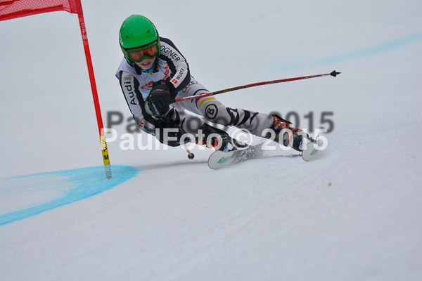 DSC U12 Finale 2015