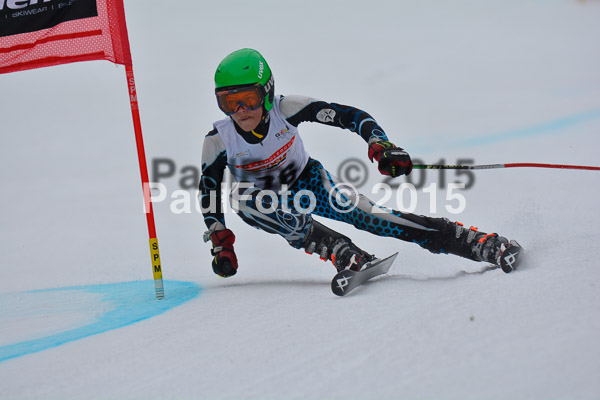 DSC U12 Finale 2015