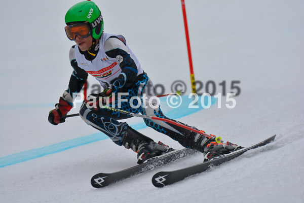 DSC U12 Finale 2015