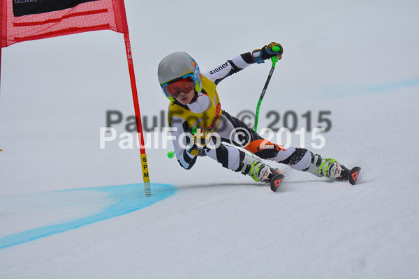 DSC U12 Finale 2015