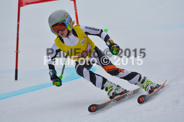 DSC U12 Finale 2015
