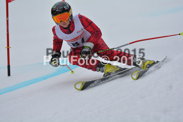 DSC U12 Finale 2015