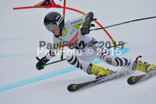 DSC U12 Finale 2015