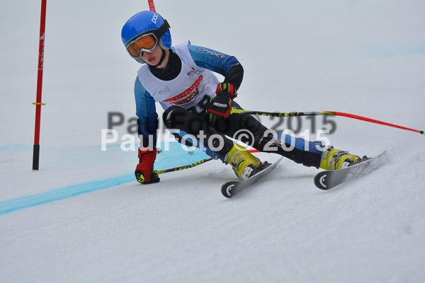 DSC U12 Finale 2015