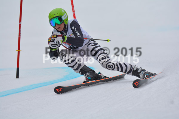 DSC U12 Finale 2015