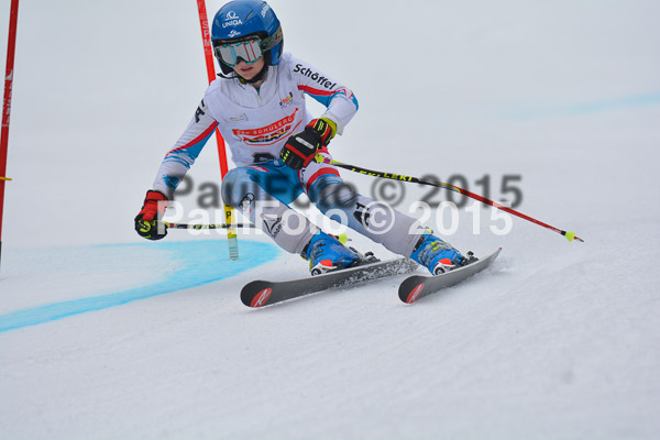 DSC U12 Finale 2015