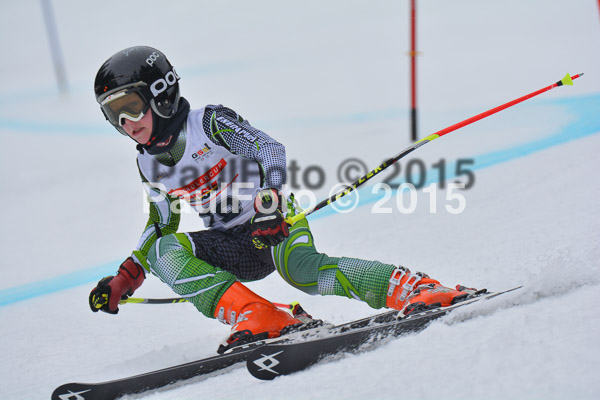 DSC U12 Finale 2015