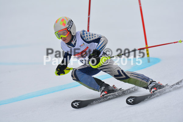 DSC U12 Finale 2015