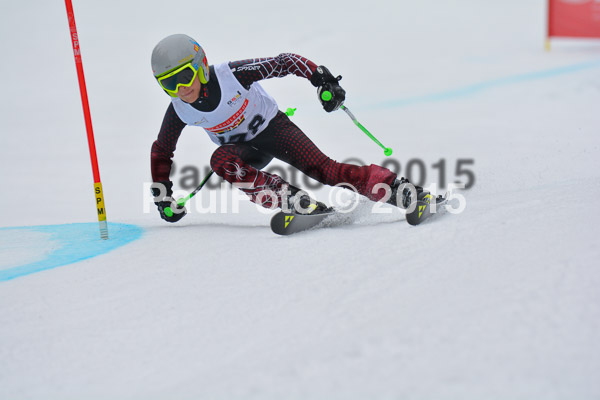 DSC U12 Finale 2015