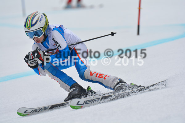 DSC U12 Finale 2015