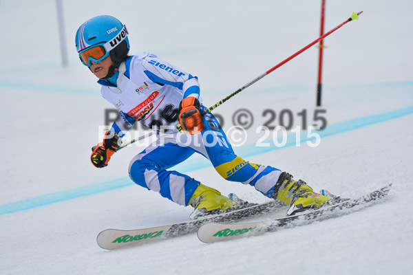 DSC U12 Finale 2015