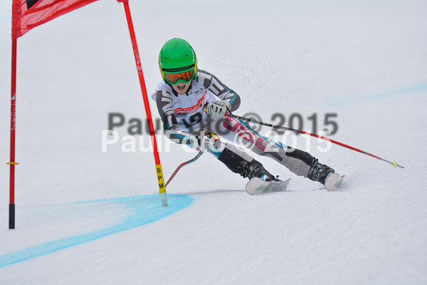 DSC U12 Finale 2015