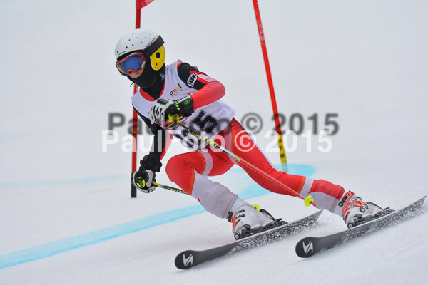 DSC U12 Finale 2015