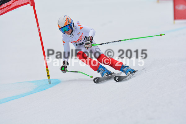 DSC U12 Finale 2015