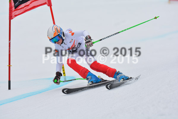 DSC U12 Finale 2015