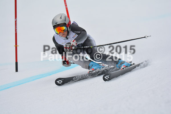 DSC U12 Finale 2015