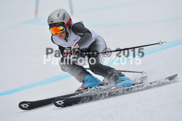 DSC U12 Finale 2015