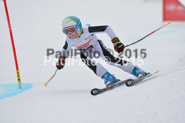 DSC U12 Finale 2015