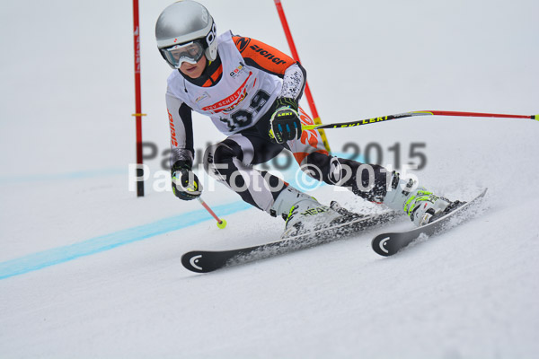 DSC U12 Finale 2015
