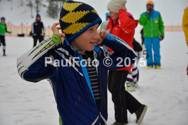 DSC U12 Finale 2015