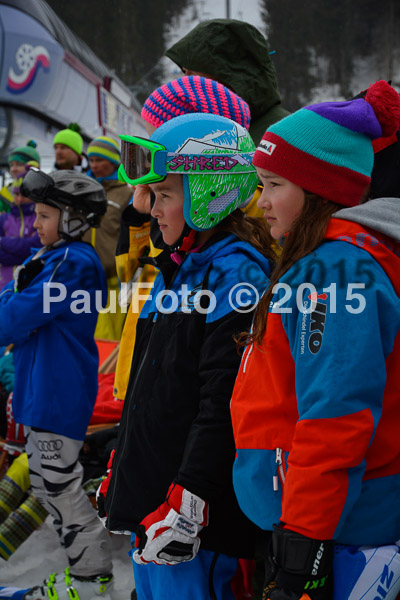 DSC U12 Finale 2015