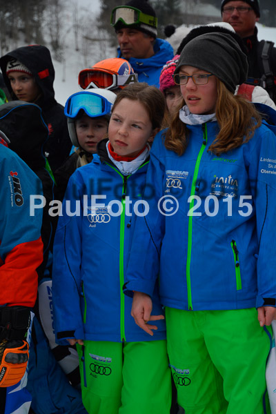 DSC U12 Finale 2015