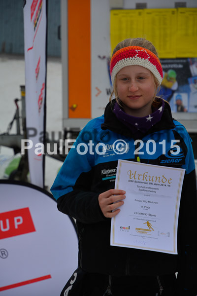 DSC U12 Finale 2015