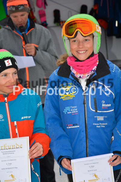 DSC U12 Finale 2015