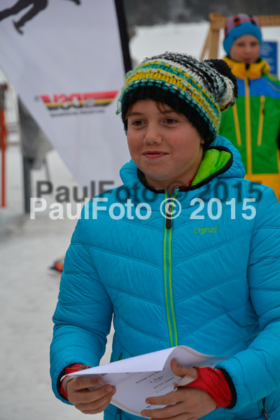 DSC U12 Finale 2015