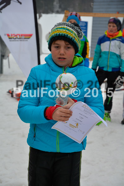 DSC U12 Finale 2015