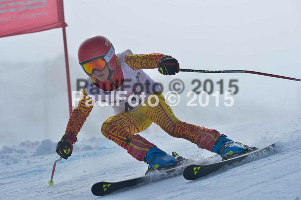 17. SVM Regionalcup Finale Kinder + Schüler 2015
