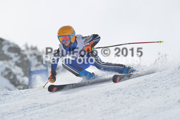 17. SVM Regionalcup Finale Kinder + Schüler 2015