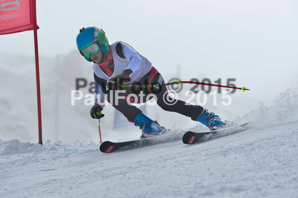 17. SVM Regionalcup Finale Kinder + Schüler 2015
