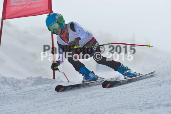 17. SVM Regionalcup Finale Kinder + Schüler 2015