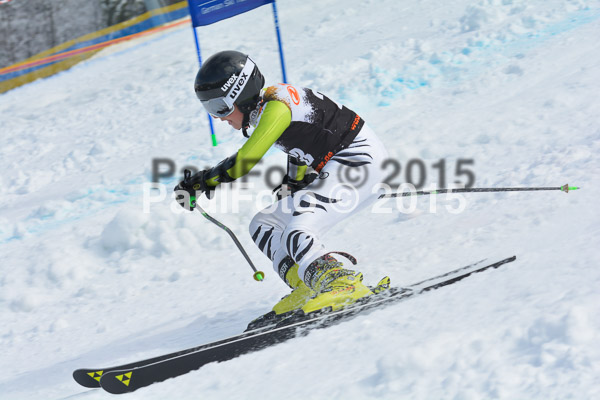 DSC U12 Finale Team 2015
