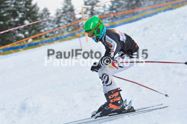 DSC U12 Finale Team 2015