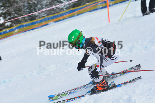 DSC U12 Finale Team 2015