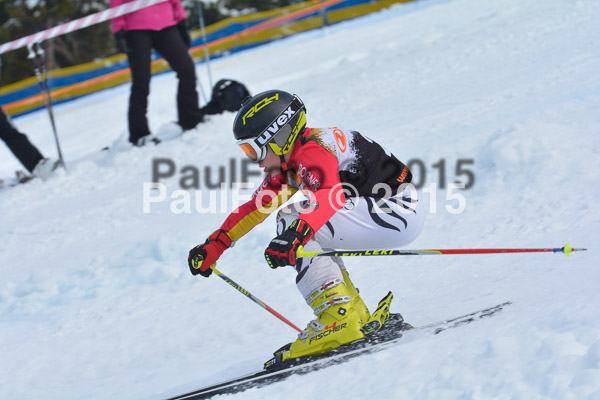 DSC U12 Finale Team 2015