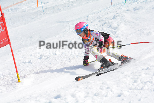 DSC U12 Finale Team 2015