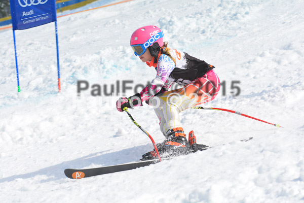 DSC U12 Finale Team 2015