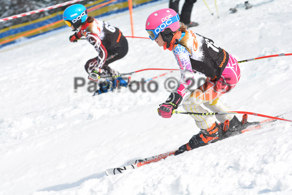 DSC U12 Finale Team 2015